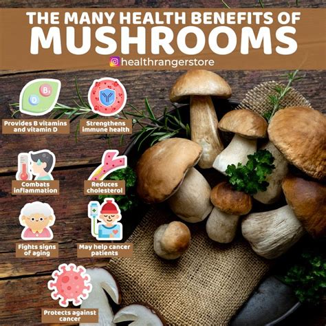mushrooms for health as medicinals